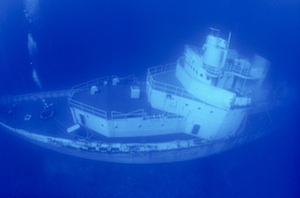 Since becoming two of the Keys' most intriguing artificial reefs, the Duane and Bibb wrecks have attracted large pelagic species and sizeable sea turtles.